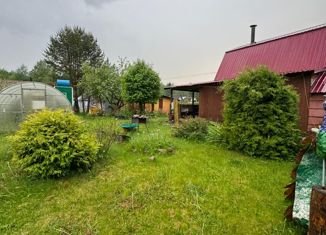 Продаю дом, 45 м2, рабочий посёлок Шексна, Пролетарская улица