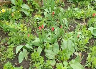 Продаю дом, 46 м2, деревня Поповка, Зелёная улица, 10