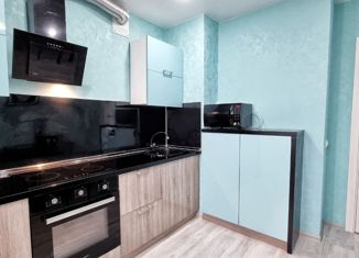Двухкомнатная квартира на продажу, 41 м2, деревня Царёво, улица Петра Гаврилова, 36