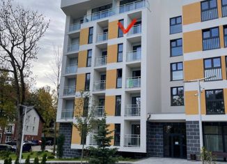 Квартира на продажу студия, 36.3 м2, Светлогорск, Кленовая улица