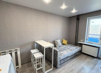 Сдается квартира студия, 21 м2, Мурино, Графская улица, 6к4