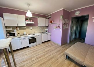 Продам квартиру студию, 29 м2, Мурино, проспект Авиаторов Балтики, 13, ЖК Охтинская Дуга