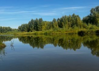 Продам дом, 39.3 м2, село Марьевка, Набережная улица