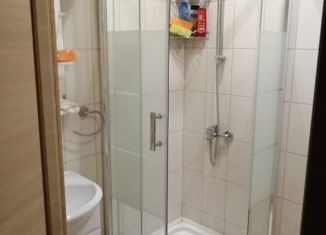 Продается однокомнатная квартира, 30.7 м2, Санкт-Петербург, бульвар Красных Зорь, 18, бульвар Красных Зорь