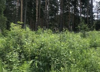 Продаю участок, 11 сот., село Власиха, Берестовая улица, 44А