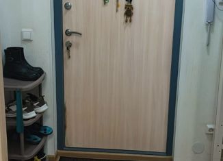 Продам квартиру студию, 24 м2, Санкт-Петербург, Комендантский проспект, 69, ЖК Чистое Небо