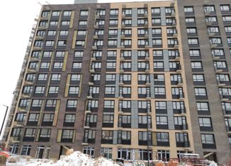 Продается 1-ком. квартира, 41 м2, посёлок Красный Бор, Мирная улица, 11