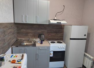 Сдается в аренду однокомнатная квартира, 28 м2, Новосибирск, Покатная улица, 55А, ЖК На Покатной