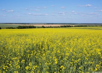 Земельный участок на продажу, 3400 сот., село Ненашевское