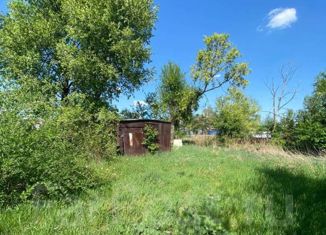 Продается дом, 35.9 м2, село Осиновка, Ленинская улица