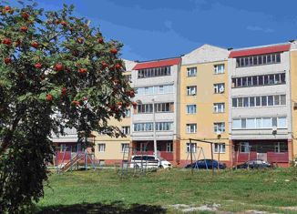 Продажа 1-комнатной квартиры, 45 м2, поселок городского типа Кугеси, Первомайская улица, 3