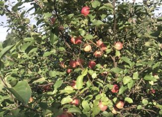 Продается дом, 51 м2, село Кленовское, улица Красных Партизан, 40