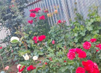 Продается дом, 80 м2, Белёв, Красноармейская улица, 14