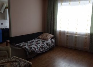 Продается 1-ком. квартира, 31.6 м2, Топки, Сибирская улица, 2