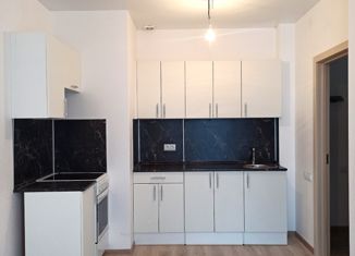 Продаю 2-комнатную квартиру, 53 м2, деревня Анкудиновка, Русская улица, 11