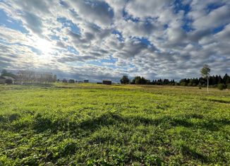 Продажа земельного участка, 9.58 сот., деревня Еремеево