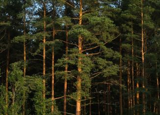 Продается участок, 10 сот., Козельск, улица Лермонтова