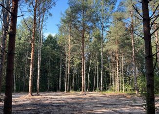 Участок на продажу, 9.15 сот., городской посёлок Синявино, Восточная улица