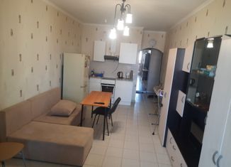 Квартира на продажу студия, 27.4 м2, Санкт-Петербург, Богатырский проспект, 49к1, метро Комендантский проспект