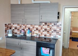 Продажа квартиры студии, 30 м2, Новосибирск, Северная улица, 13, Северная улица