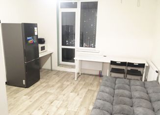 Продажа квартиры студии, 23 м2, Санкт-Петербург, Заводская улица, 15, муниципальный округ Рыбацкое