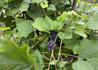 Продается земельный участок, 7 сот., рабочий посёлок Плеханово, Пушкинская улица, 15