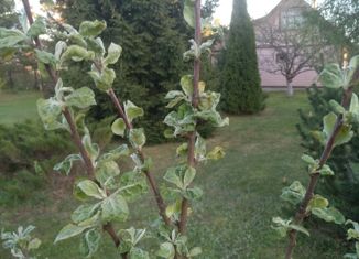 Продажа дома, 59 м2, СНТ Заречье, СНТ Заречье, 26с1