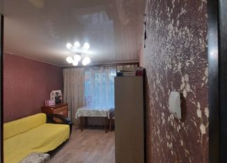 1-комнатная квартира на продажу, 31.5 м2, посёлок Русский, Экипажная улица, 41