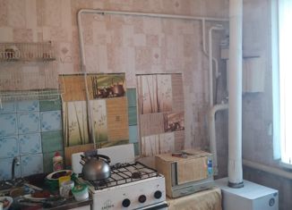 Продажа 2-ком. квартиры, 41.5 м2, село Шевырёвка, Центральная улица, 78