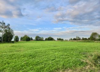 Продажа участка, 50 сот., деревня Коровкино, Р-132 Золотое кольцо