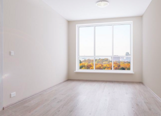 Продажа квартиры студии, 22 м2, посёлок Парголово, Толубеевский проезд, 8к2