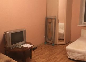 Продается квартира студия, 26 м2, городской посёлок Рощино, Садовая улица, 22, ЖК Солнечный дворик