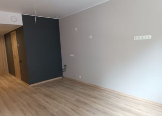 Продается квартира студия, 23.5 м2, Санкт-Петербург, Заозёрная улица, 3к3с2, Заозёрная улица