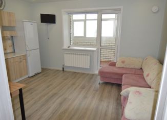 Сдам квартиру студию, 24.1 м2, Барнаул, улица Островского, 23/213, Ленинский район