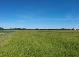 Продам земельный участок, 380 сот., Лесновское сельское поселение