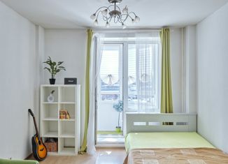 Квартира на продажу студия, 29.3 м2, Санкт-Петербург, улица Савушкина, 143к1, улица Савушкина