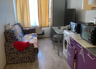 Продажа 1-ком. квартиры, 25.1 м2, Чебоксары, улица Мате Залка, 12к1, Московский район