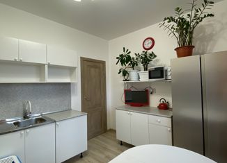 Сдаю 2-ком. квартиру, 54 м2, Санкт-Петербург, Кушелевская дорога, 7к1, ЖК Суворов