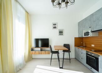Продам квартиру студию, 30 м2, Санкт-Петербург, улица Александра Матросова, 3, ЖК Притяжение