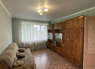 2-комнатная квартира на продажу, 44 м2, деревня Добрунь, Юбилейная улица, 10