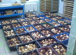 Продажа земельного участка, 40 сот., рабочий посёлок Муромцево, улица Заготзерно, 2