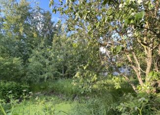 Продается дом, 56 м2, коллективный сад Северный-2