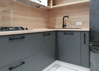 Продается однокомнатная квартира, 32 м2, Санкт-Петербург, Новоизмайловский проспект, 42к1, метро Московская