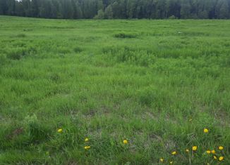 Продается земельный участок, 6.07 сот., деревня Степаньково