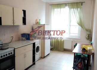 Однокомнатная квартира на продажу, 41.9 м2, деревня Кабицыно, микрорайон Молодёжный, 3