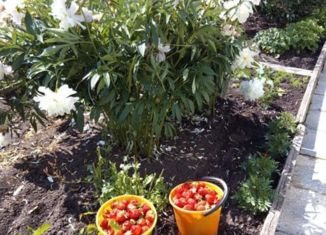 Продажа земельного участка, 4.3 сот., Реж