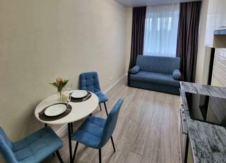 Продам однокомнатную квартиру, 30 м2, посёлок Марьино, улица Харлампиева, 42