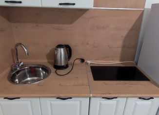 Аренда квартиры студии, 23 м2, Екатеринбург, Хрустальногорская улица, 93, ЖК Рио