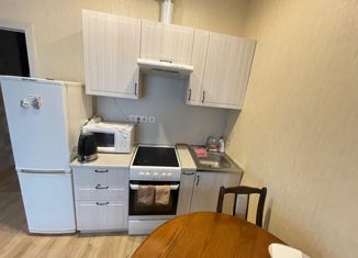 Продам квартиру студию, 21.5 м2, деревня Кудрово, Пражская улица, 11