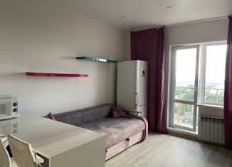 Сдам в аренду квартиру студию, 24 м2, Новосибирск, Приморская улица, 24/1, Советский район